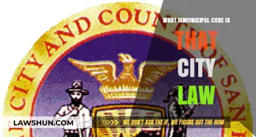 Understanding Municipal Codes: Are They City Laws and Why They Matter