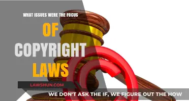 Copyright Laws: Addressing Key Issues in Intellectual Property Protection