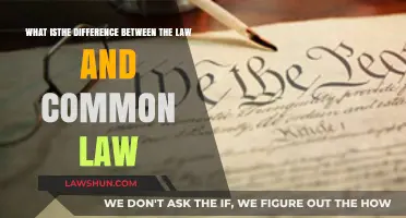 The Evolution of Common Law vs. Statutory Law