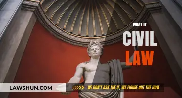 Understanding Civil Law: Key Principles and Practical Applications Explained