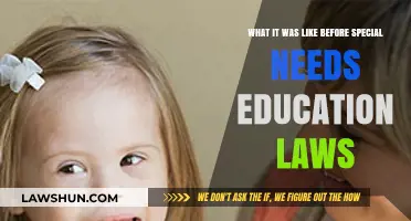 Life Before Inclusion: A Look at Pre-Special Education Laws Era