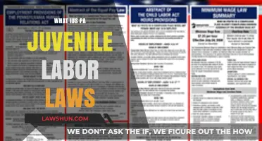 Understanding Pennsylvania Juvenile Labor Laws: Rights, Restrictions, and Compliance