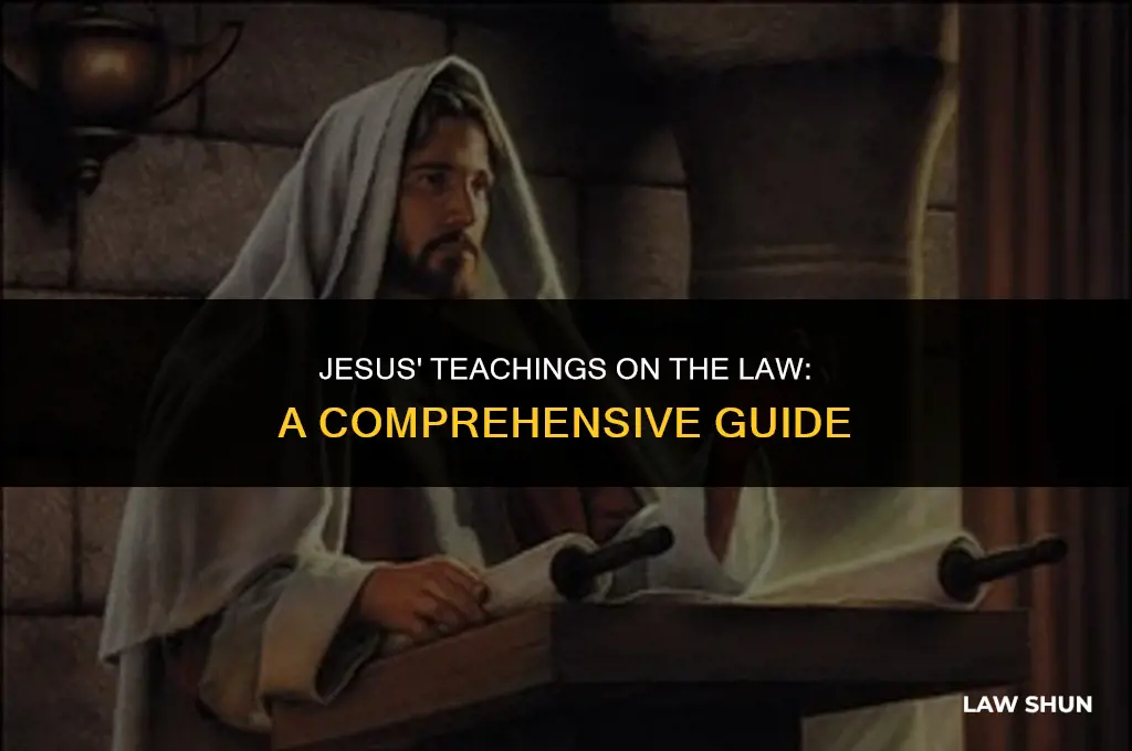 what jesus said about the law