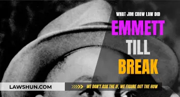 The Murder of Emmett Till: Broken Jim Crow Laws