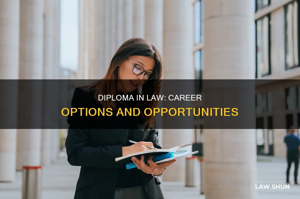 what job can you do with a diploma in law