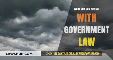 Government Law: Career Opportunities and Job Security