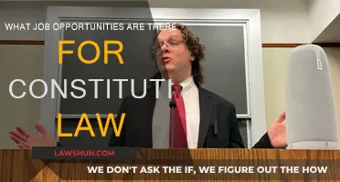Constitutional Law: Career Opportunities and Job Security