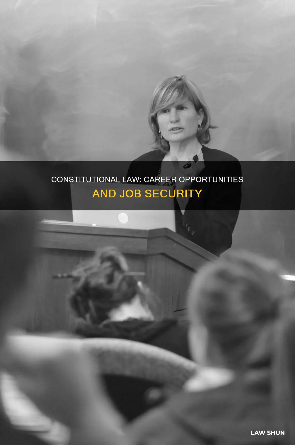 what job opportunities are there for constitutional law