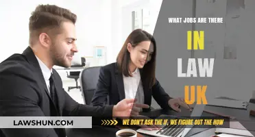 Explore UK Law Careers: Job Options for Legal Professionals