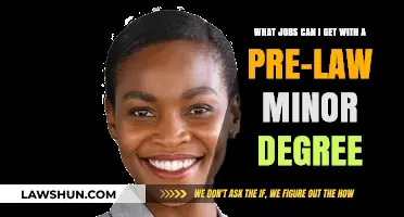 Law Careers: Exploring Job Options with a Pre-Law Minor