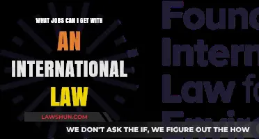 International Law Careers: Diverse Opportunities and Job Roles