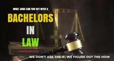 Law Degree Jobs: Career Options Beyond the Courtroom