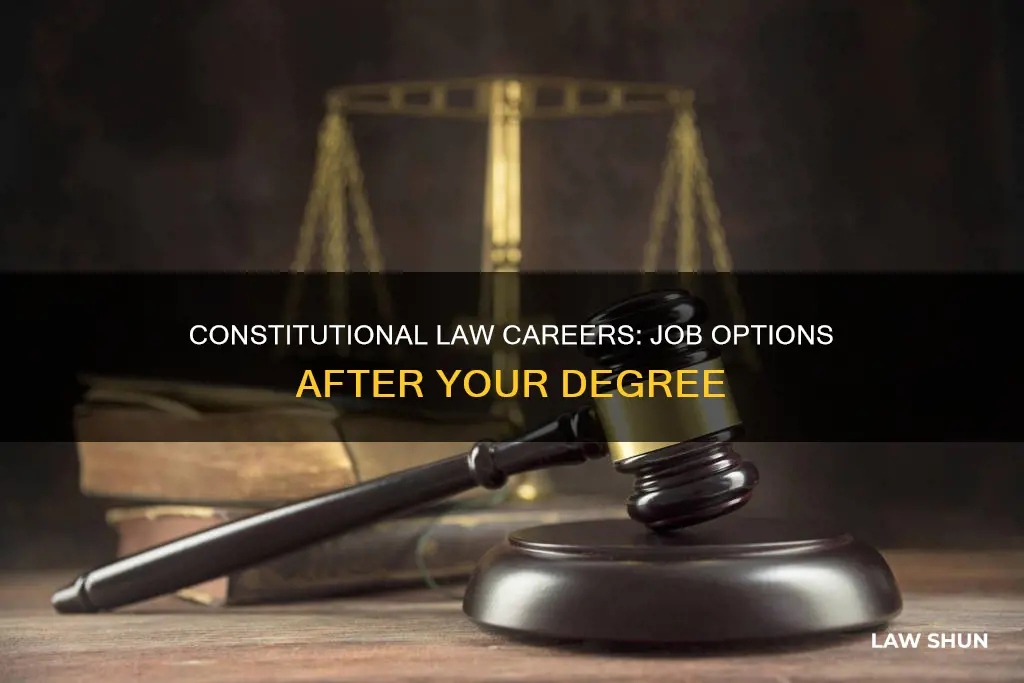 what jobs can you get with a constitutional law degree