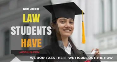 Exploring Diverse Career Paths for Aspiring Law Students