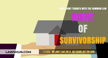 Understanding Joint Tenancy and the Right of Survivorship