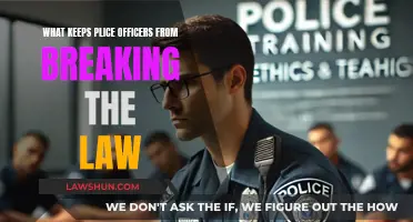 Why Police Officers Stay on the Right Side of the Law