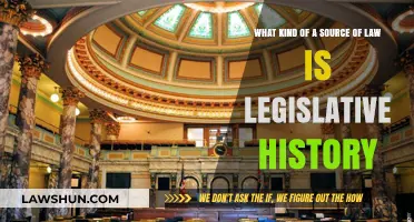 Legislative History: Understanding Its Role as a Legal Source