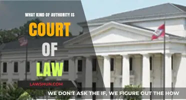Understanding the Judicial Authority: The Role of Courts in Legal Systems