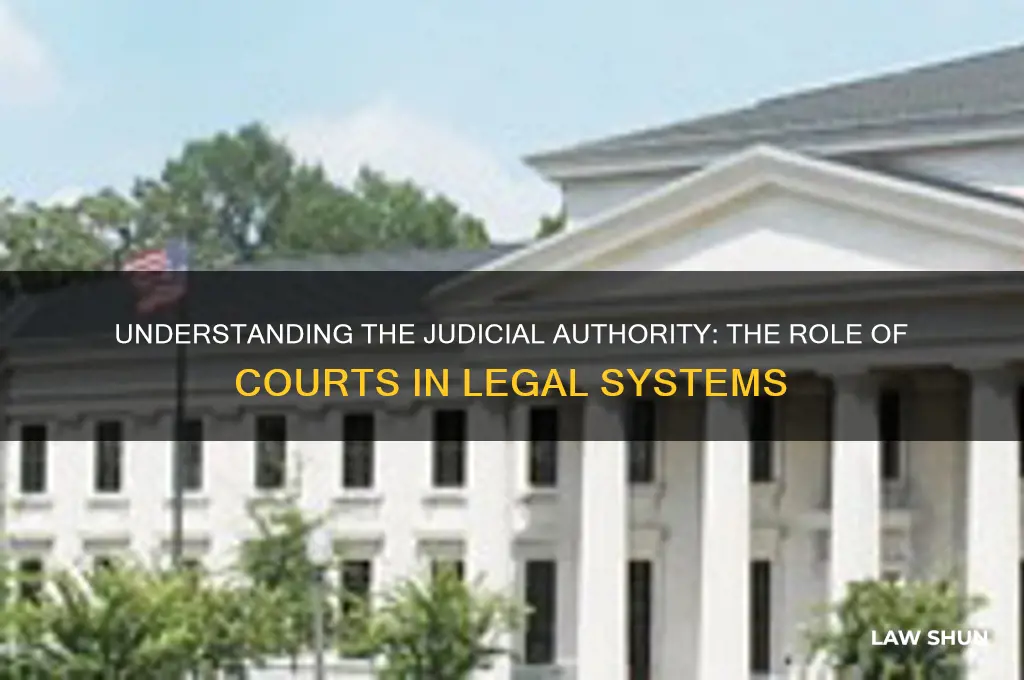 what kind of authority is court of law