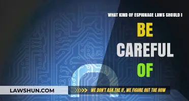 Navigating Espionage Laws: Key Legal Pitfalls to Avoid in Intelligence Work