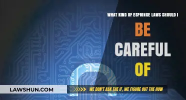 Navigating Espionage Laws: Key Legal Pitfalls to Avoid Safely
