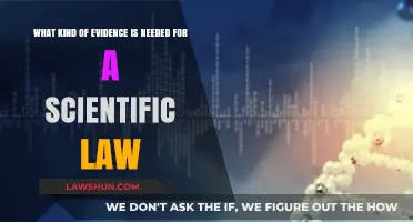 Essential Evidence Requirements for Establishing a Scientific Law Explained