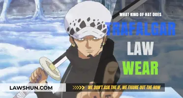 Trafalgar Law's Iconic Hat: Style, Origin, and Meaning Explained