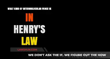 Understanding Intermolecular Forces in Henry's Law: A Comprehensive Guide