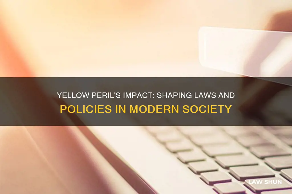 what kind of law and policies that yello peril influence