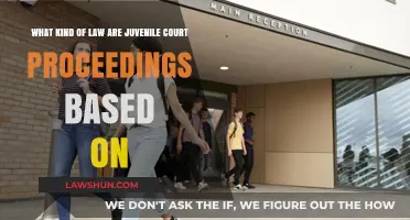 Understanding Juvenile Court Proceedings: Legal Foundations and Key Principles