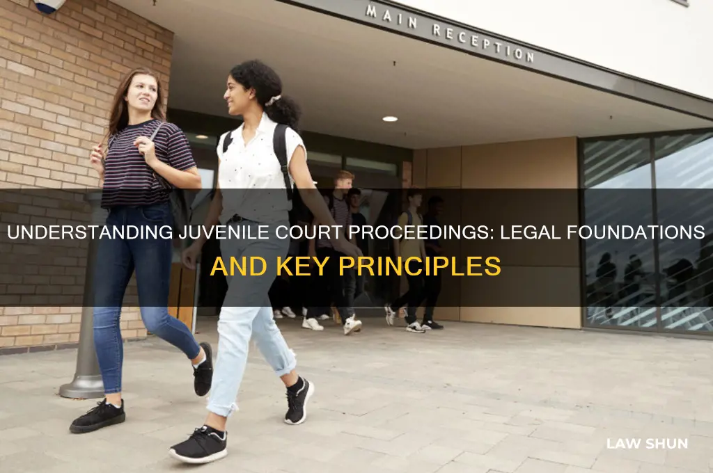what kind of law are juvenile court proceedings based on
