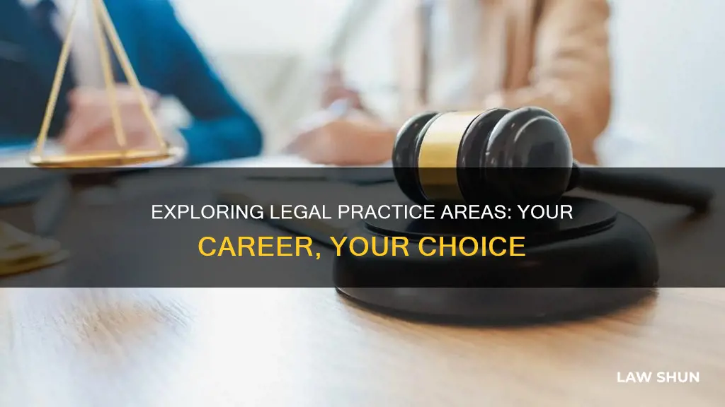 what kind of law can i practice