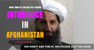 Taliban's Legal Reforms: Analyzing Afghanistan's New Sharia-Based Law