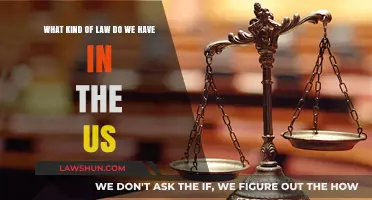 Understanding the Diverse Legal Landscape: Types of Law in the US