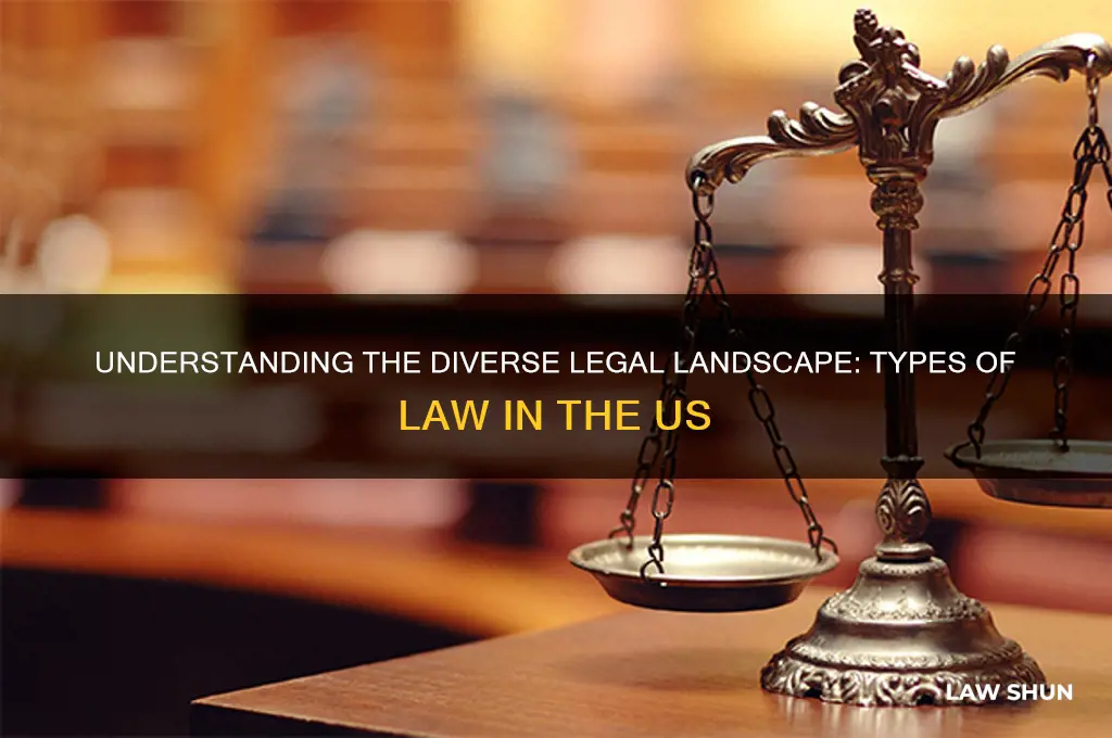 what kind of law do we have in the us