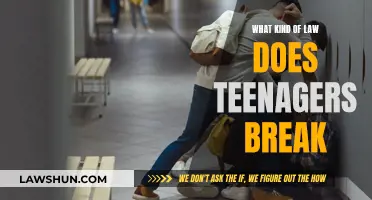 Teenage Lawbreaking: Exploring Common Offenses and Their Causes