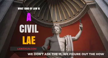 Understanding Civil Law: Key Principles and Applications Explained