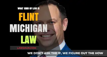 Understanding Flint, Michigan Law: Types, Impact, and Legal Framework