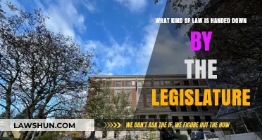 Understanding Statutory Law: How Legislatures Create and Enforce Legal Rules