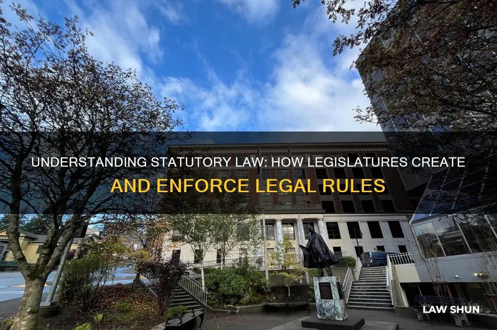 what kind of law is handed down by the legislature