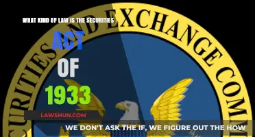 Understanding the Securities Act of 1933: A Key Regulatory Law