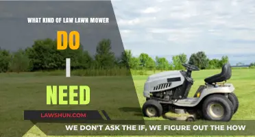 Choosing the Right Lawnmower: A Guide to Your Perfect Lawn Tool
