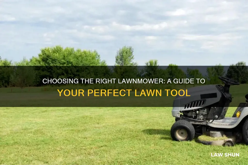 what kind of law lawn mower do i need