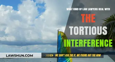 Understanding Tortious Interference: Legal Expertise Lawyers Handle in Business Disputes