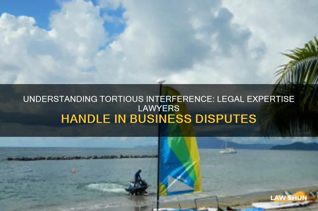 what kind of law lawyers deal with the tortious interference