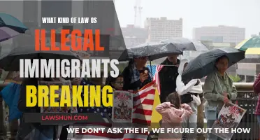 Understanding the Legal Status of Undocumented Immigrants