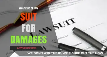 Understanding Lawsuits for Damages: Types, Claims, and Legal Remedies