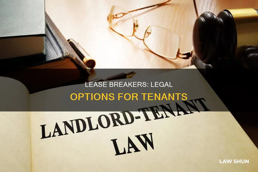 what kind of lawer break lease not maintained