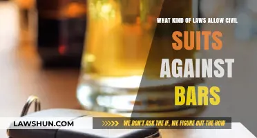 Civil Liability Laws: When Bars Face Lawsuits for Negligence