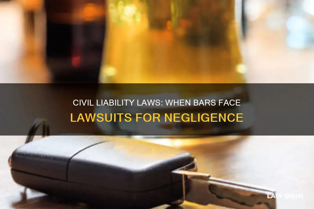 what kind of laws allow civil suits against bars